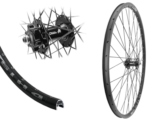 B�rwinkels 28 Zoll Vorderrad 19-622 DH19 Disk mit �sen BDCP MT601 6-Loch Schnellspanner Speichen schwarz