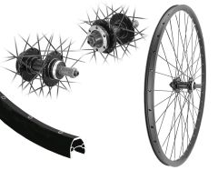 B�rwinkels 26 Zoll Hinterrad 19-559 BE19 schwarz Disk mit �sen 36L BDCP 6 Loch Disc 8-,9-Fach Schraubzahnkranz Schnellspanner Speichen Nirosta 2mm schwarz