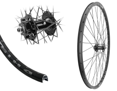 B�rwinkels 28 Zoll Vorderrad 19-622 DH19 Disk mit �sen BDCP MT601 6-Loch Schnellspanner Speichen schwarz